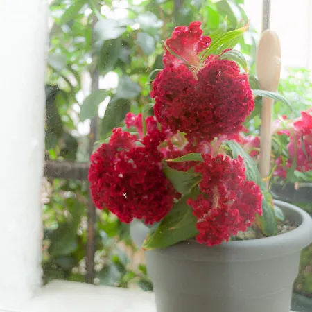 Ca' Della Scala Appartamento